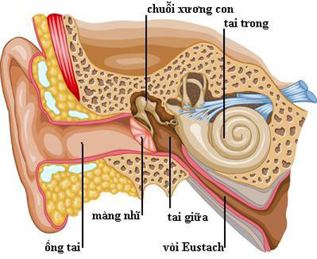 Mối nguy hiểm với người cao tuổi